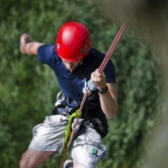 Goodleaf Tree Climbing