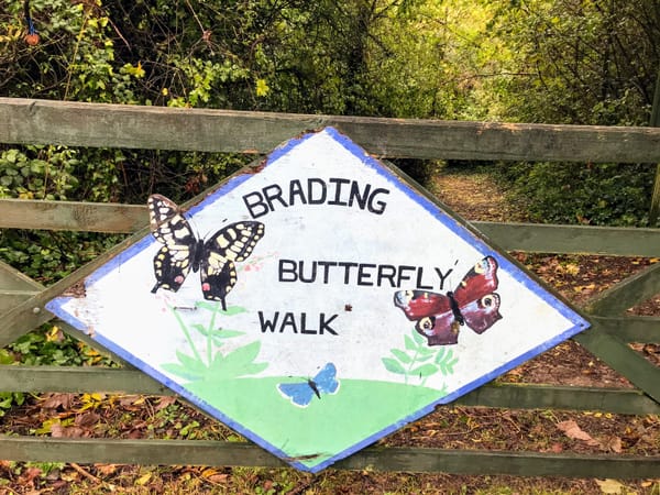 Brading Butterfly Walk