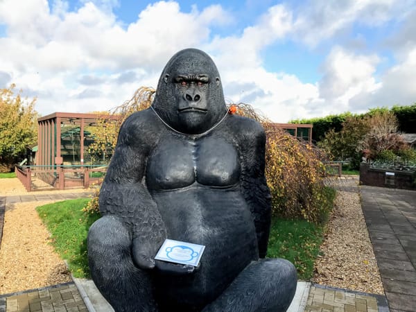 Monkey Haven
