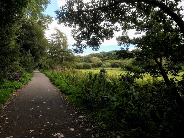 Red Squirrel Trail