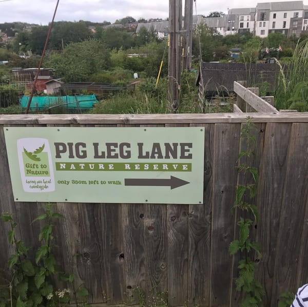 Pig Leg Lane