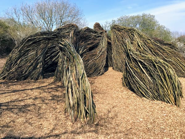 Willow Maze