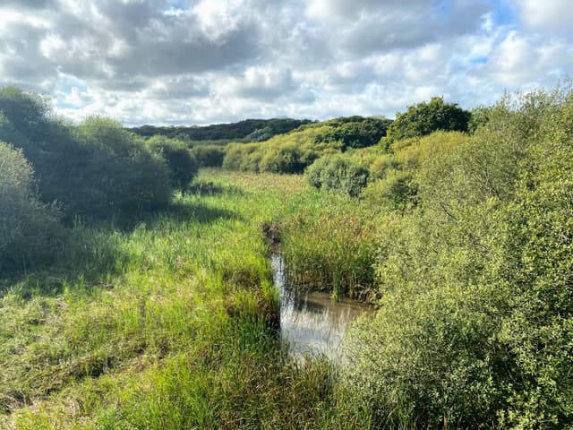 Medina Riverside Park Walk 