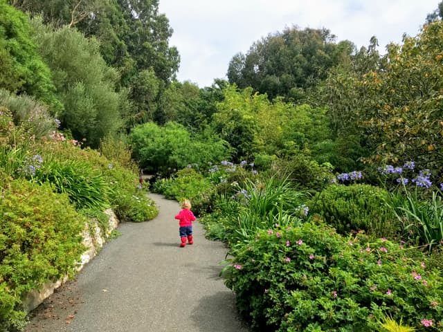 Ventnor Botanic Gardens